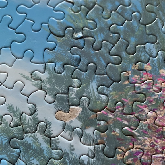 3/10$ KI puzzle Victorian dream 1000 - Picture 5 of 6